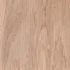 Chinese Oak