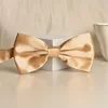Champagne smooth bow tie