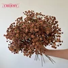 #8 orange coffee-single