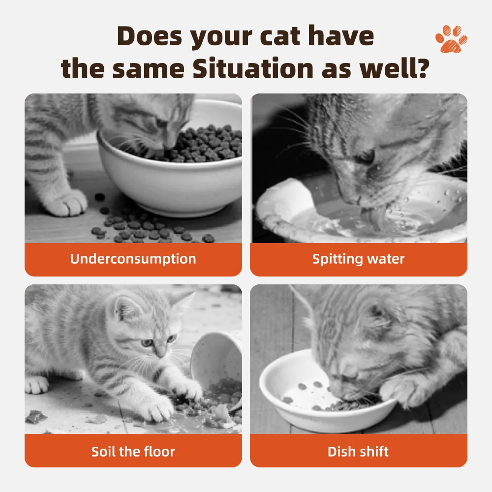 Wholesale Non-sticking Paw Shape Silicone Pet Mat Large Size Silicone  - product detail 3