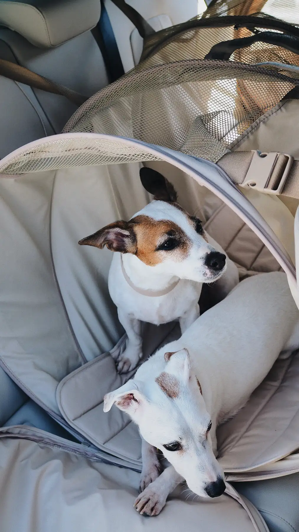 Round Eco Friendly Foldable Sofa Dog Car Seat Bed Car Transportation