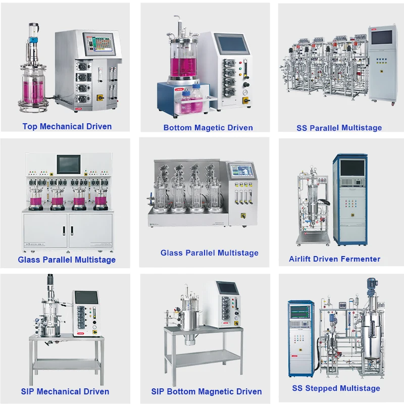 Lab Scale Fermentation Bioreactor Fermenting tank for Solid Phase and Semi-liquid Cultivator Benchtop Bioreactor Plant Cell