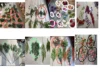 fiori sciolti
