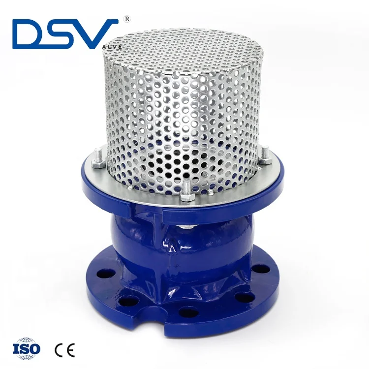 Ductile Iron Iso Standard Flange Type 6" Diameter Foot Valve