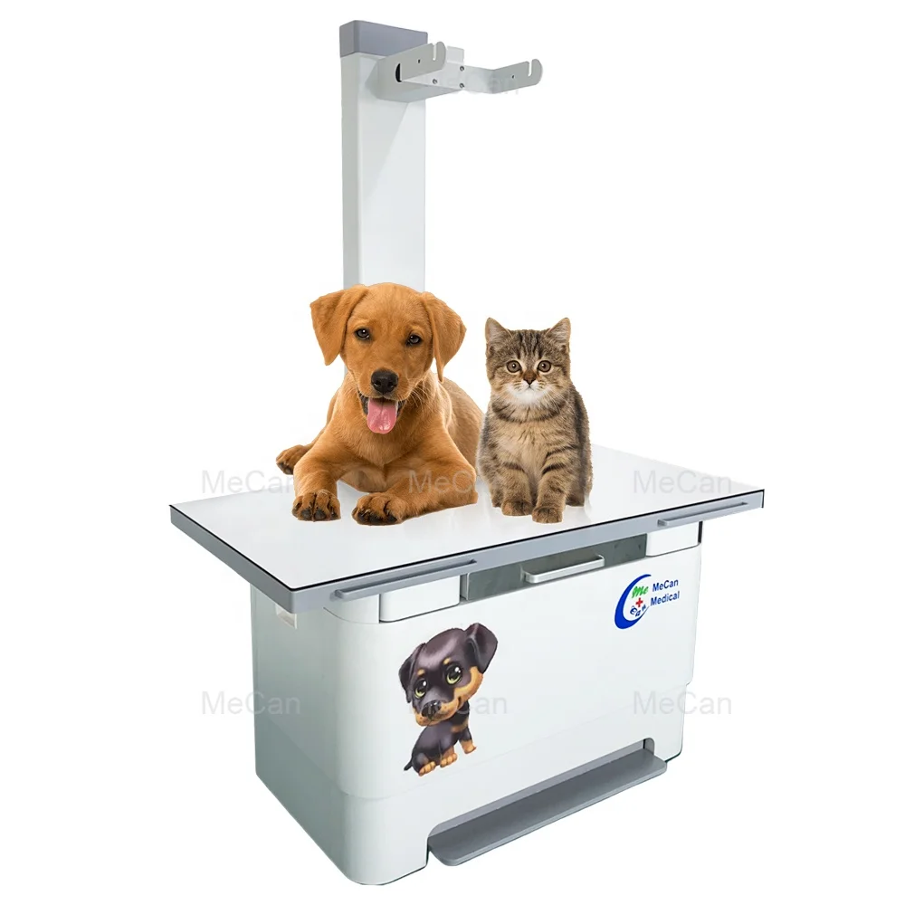 Veterinary Xray Machine High Frequency for Animal Diagnostics