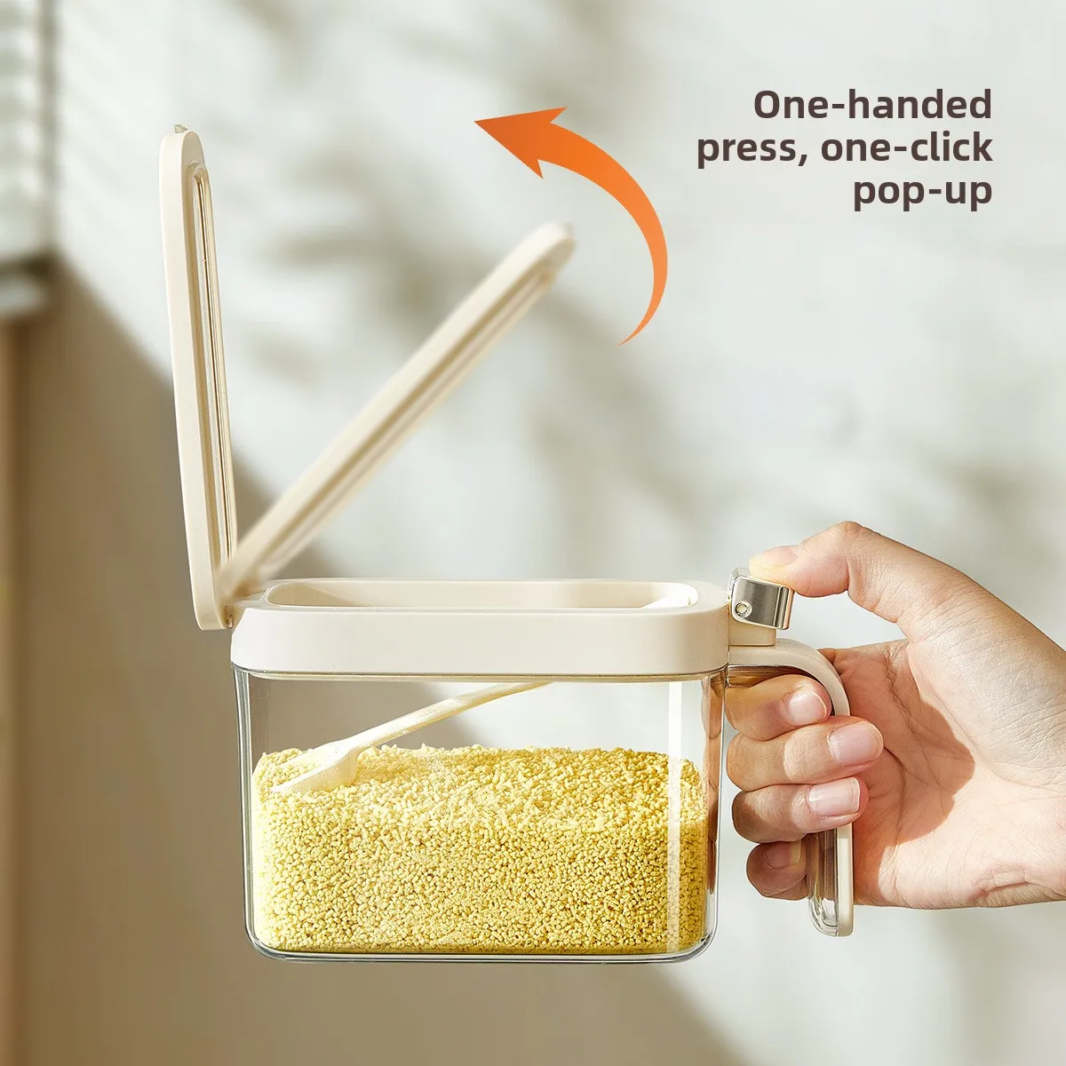 Plastic Condiment Box Viewing Window Airtight Spice Storage Set for Kitchen Seasonings Oil Dispenser Portioning-Modern
