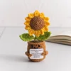 Girasole