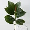 (Rubber tree with long branches, 90cm, dark green)