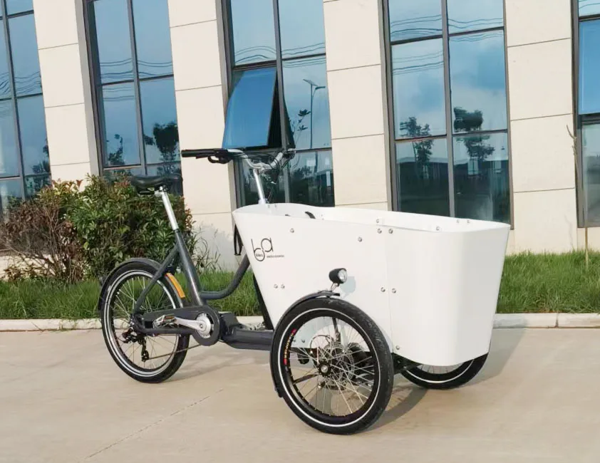 2022 new model factory wholesale cargo ebike  3 wheels electric cargo bike