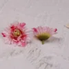 Flor rosa