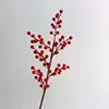 Fruit rouge à 6 fourches, 50 cm