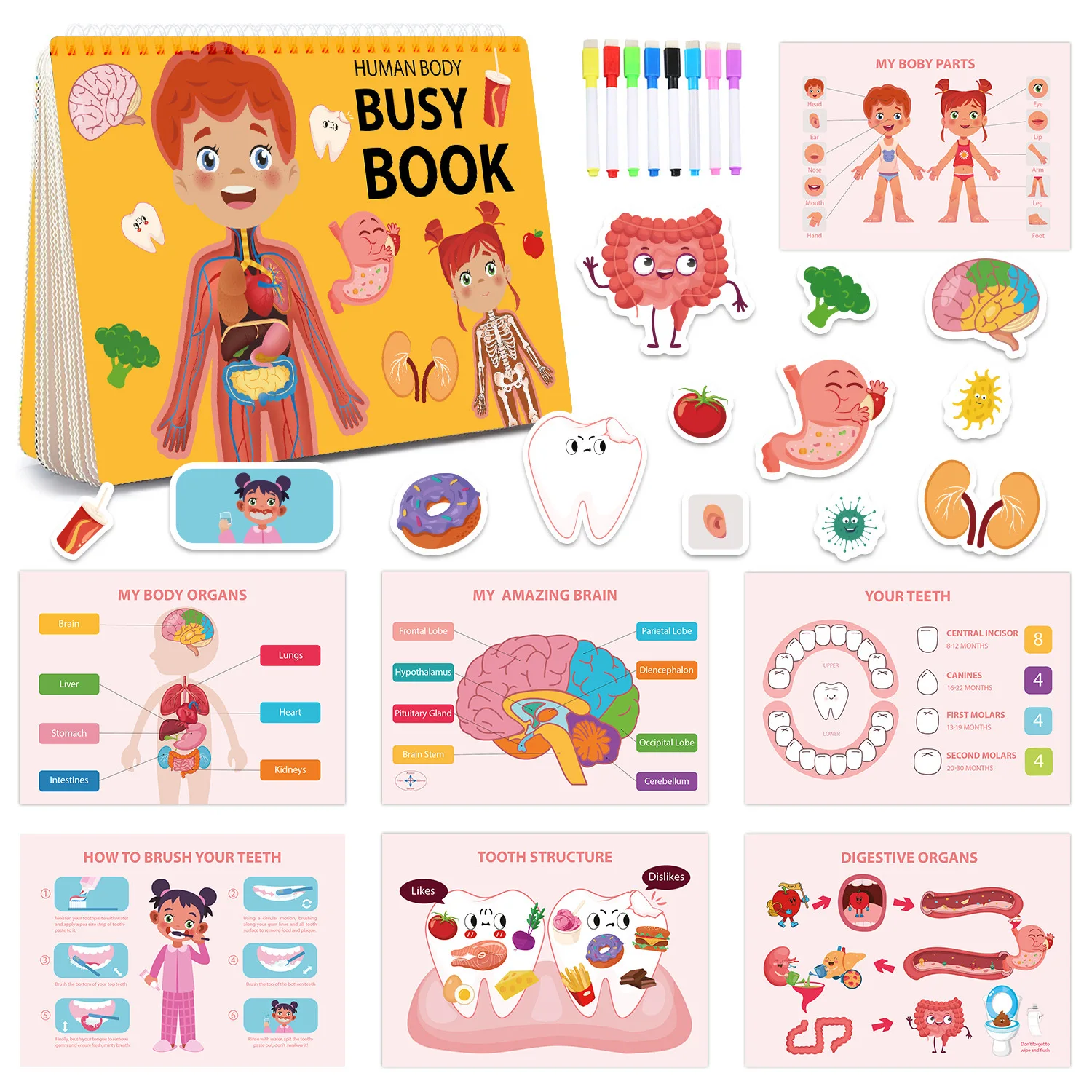 Children's busy book toddler preschool body structure cognitive early educationquiet for kids board for toddle learning