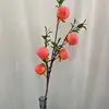 5 kakis