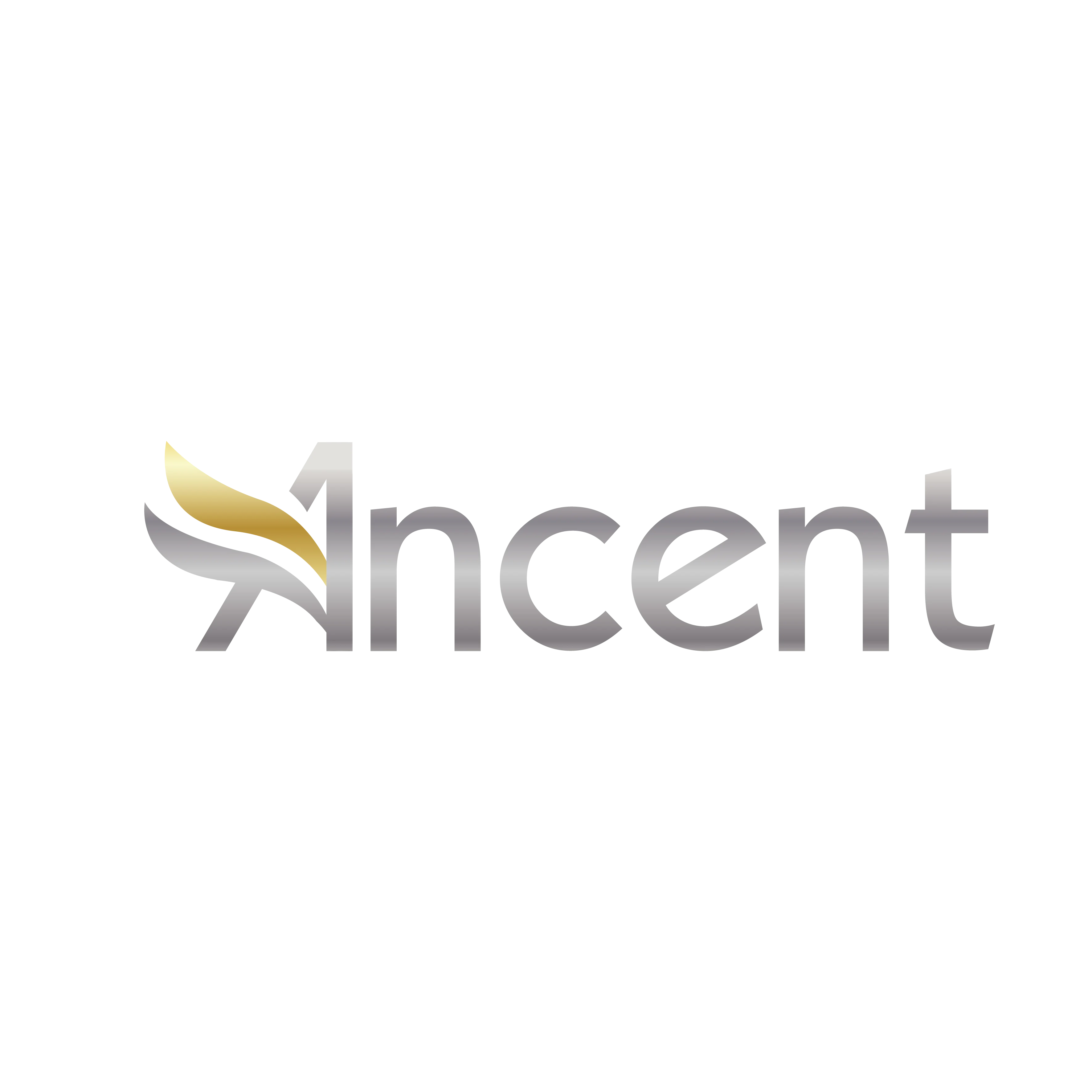Export Inport Picks Tote Bag - Hangzhou Ancent Import and Export Co., Ltd