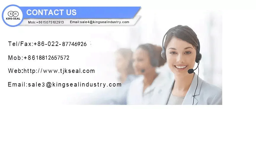 Mechanical Seal High Pressure Oil Seal Water Pump Tc Oil Seal Buy