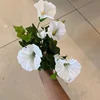 Blanco, 60 cm, 12 ramas