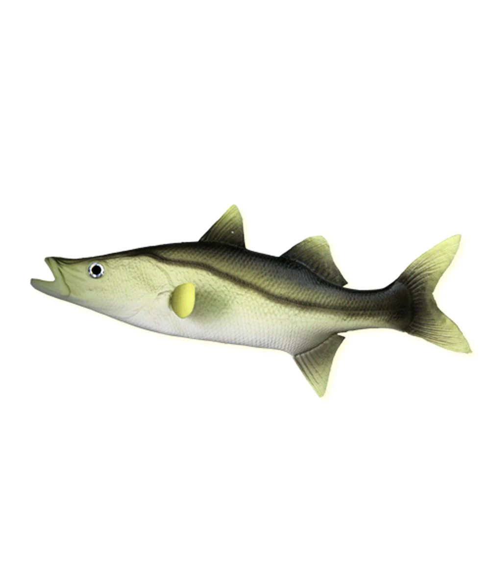 vaval fish image clipart