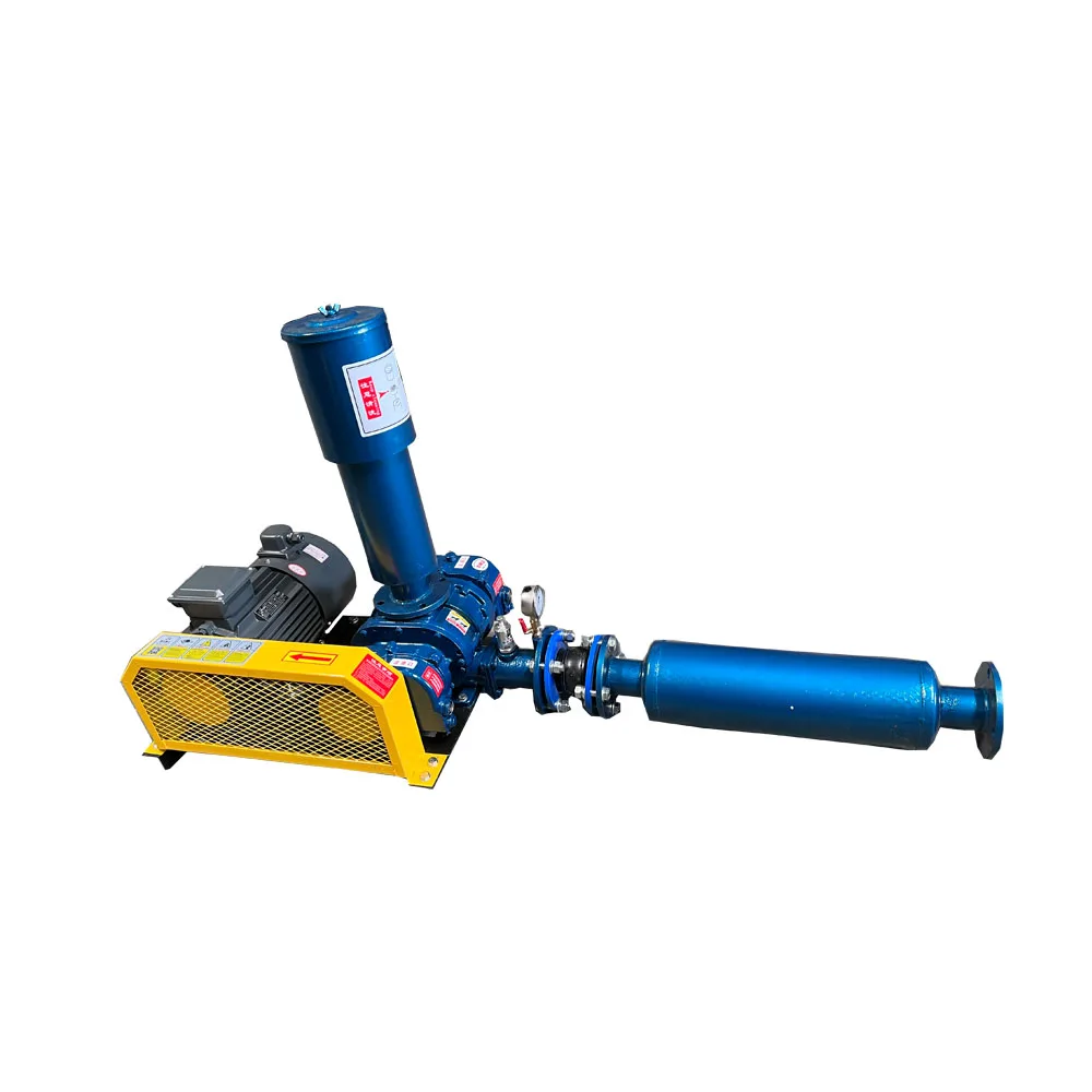 High Quality Roots blower for water treatment High Pressure vacnum packing roots blower