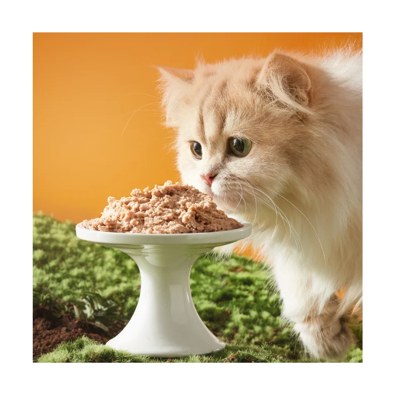 2024 Top Sale OEM Cheap Price Pet Treats How Meow Food Cat Food
