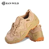 sandy color
