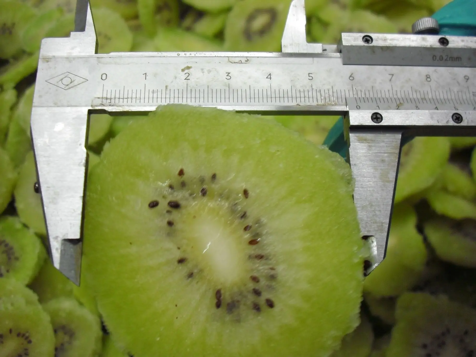 Nagykereskedelmi tétel 10 kg-os IQF gyümölcsök fagyasztott friss kivi kockázva ár