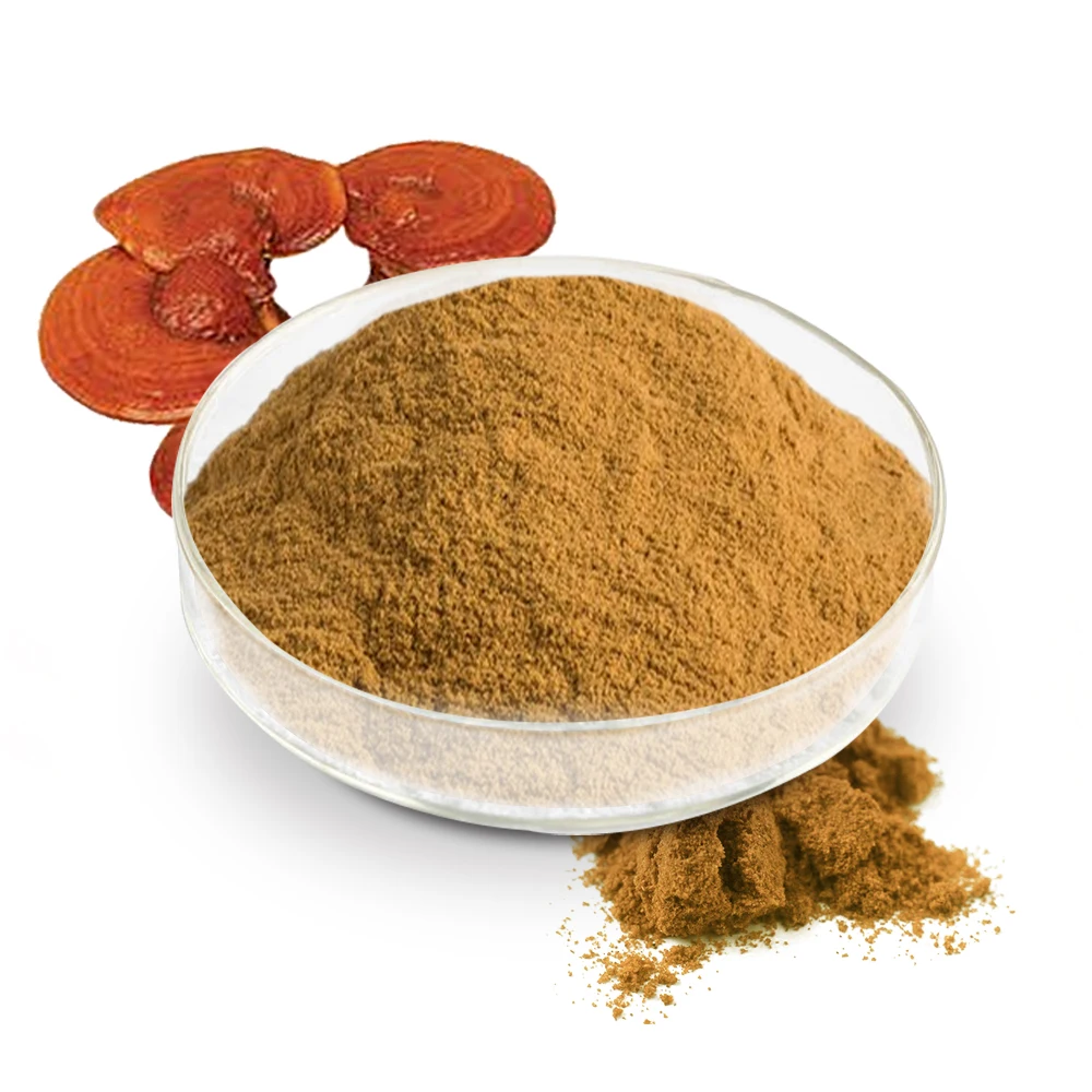 Органический Сертифицированный растительный экстракт Lingzhi Ganoderma Lucidum порошок гриба