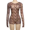 Leopardo