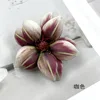 Double-layer - brown