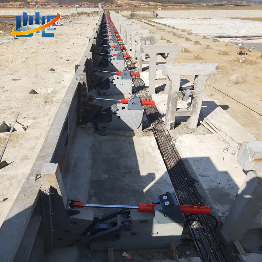 Factory Customized Large Water Project Stainless Water Project Hydraulic Hoist Cylinder for Dam Gate
