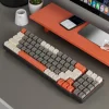 White Gray Orange