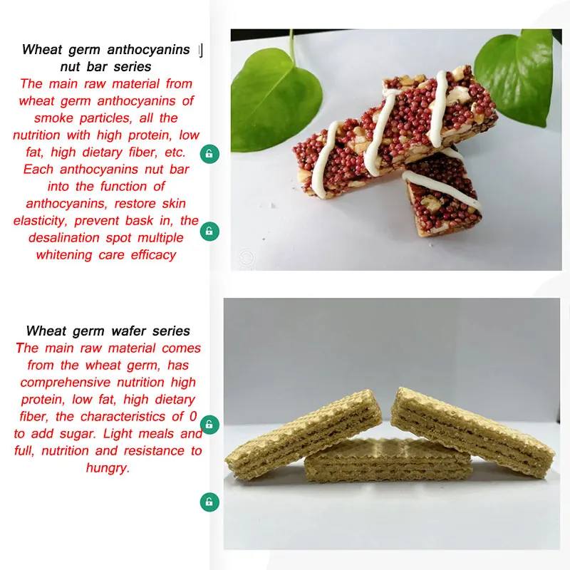 Wholesale Wafers Snacks Nutrition Organic Protein Bars Vegan Energy Food Meal Replacement Bar