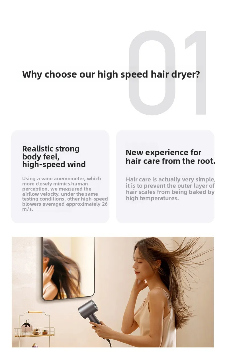 AC motor hair dryer