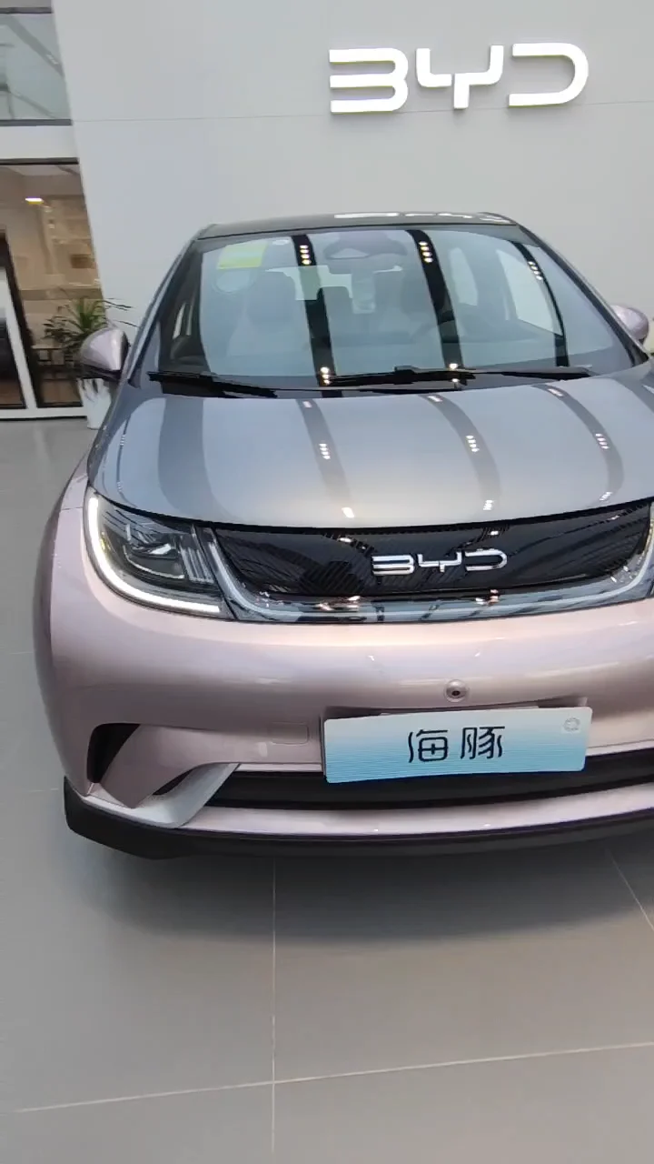 Byd Dolphin Used Car Low Price Small Cars Electric Car Vehicle High
