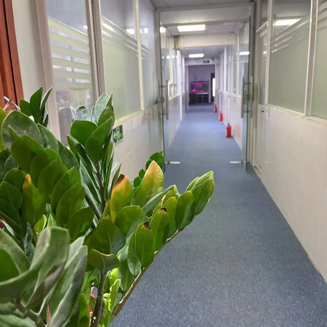 Shenzhen Blyi E-Commerce Co.,Ltd