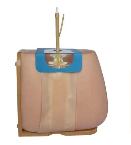 Медицинская обучающая модель, акупунктурная модель для поясничного прокола