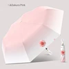 Rosa Sakura