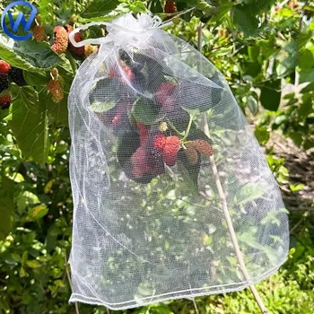 Sacs de protection pour fruits en maille,sacs pour fruits en maille | 100X Sacs de protection semi-transparents pour tomates - Sacs de protection pour raisins, sacs pour arbres fruitiers, filets à fru