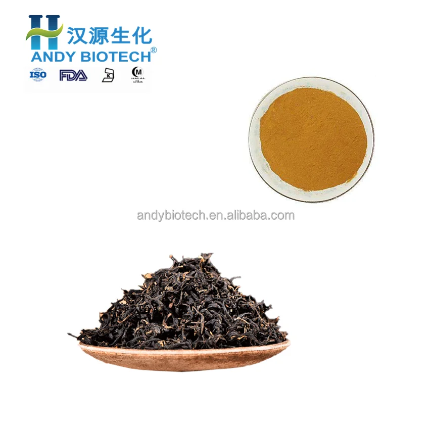 Black Tea Extract1