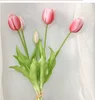 Red Pink