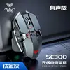 Sc300 titanium gray