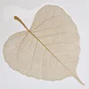 2-Light brown