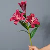 Noir Rouge Violet