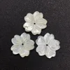 Progettazione 1 20mm