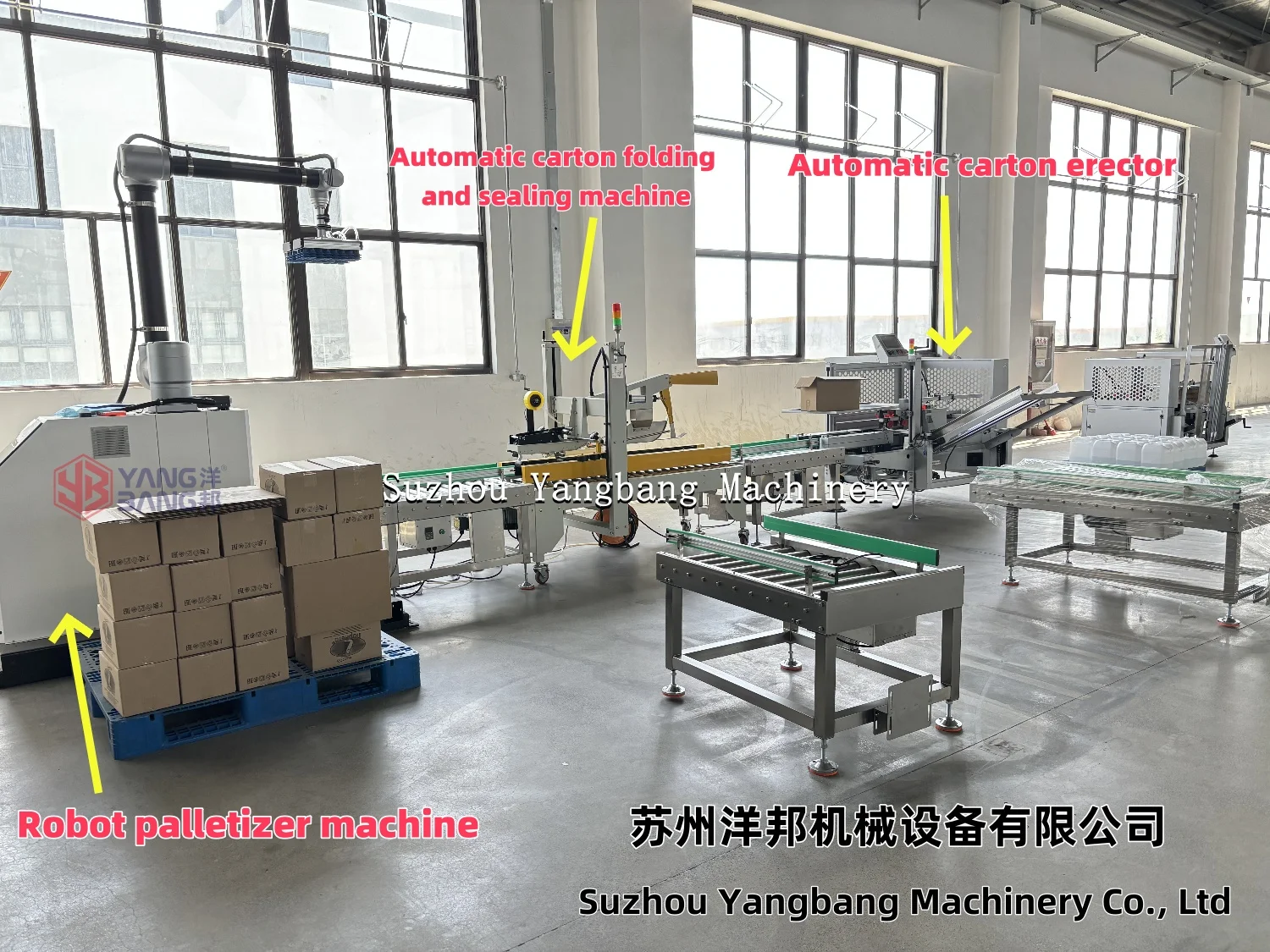 Collaborative Robot Palletizer - Efficient & Reliable