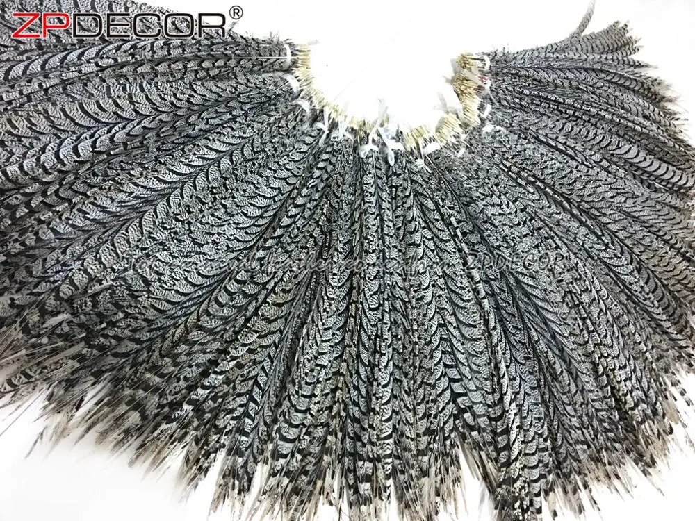 ZPDECOR Wholesale Long Size 90-100 cm Stock Natural Zebra Lady Amherst Pheasant Tail Feather for Brazilian Carnival Costume