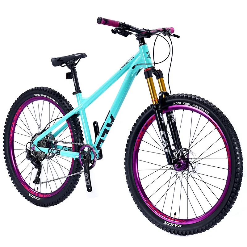 Customized Aluminum Alloy Mountain Bike With Disc Brake Odm
