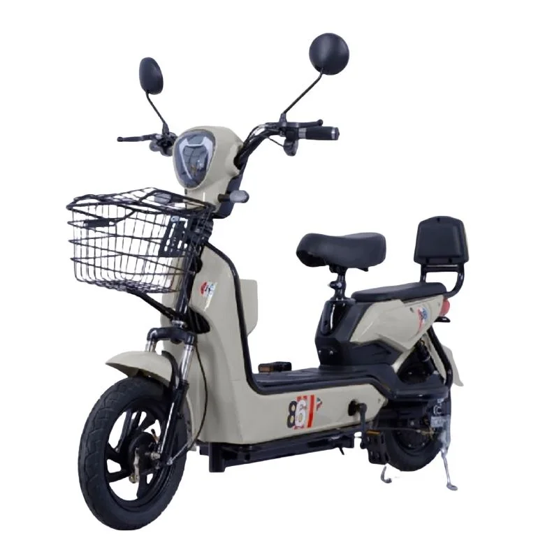 Shop High-Quality Electric Bicycles at Factory Sale Prices