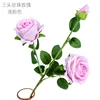 Three-headed pearl rose, light pink