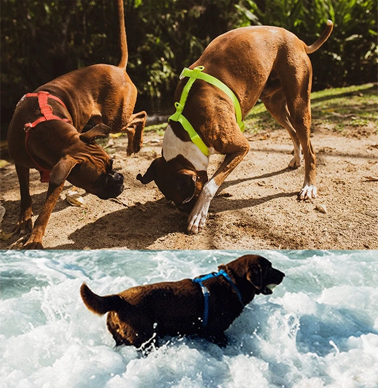 Новое поступление, водонепроницаемые товары для домашних животных, H-образный Водонепроницаемый Жгут для собак из ПВХ с мягким на ощупь тканым покрытием