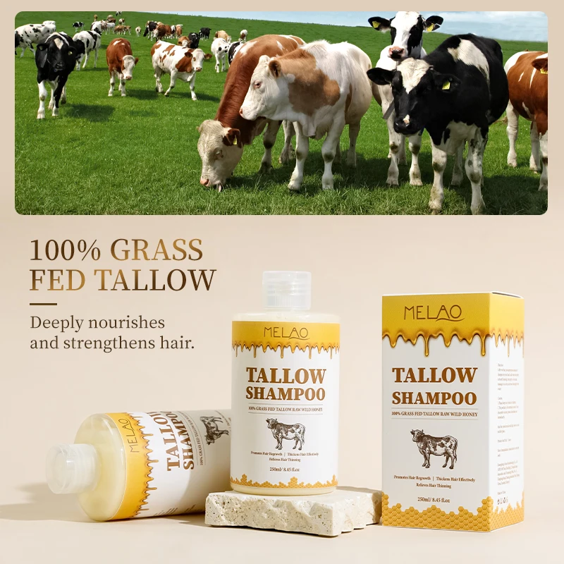 Private Label Unscented Handmade Tallow & Goat Milk Shampoo Moisturizing Beef Tallow Shampoo